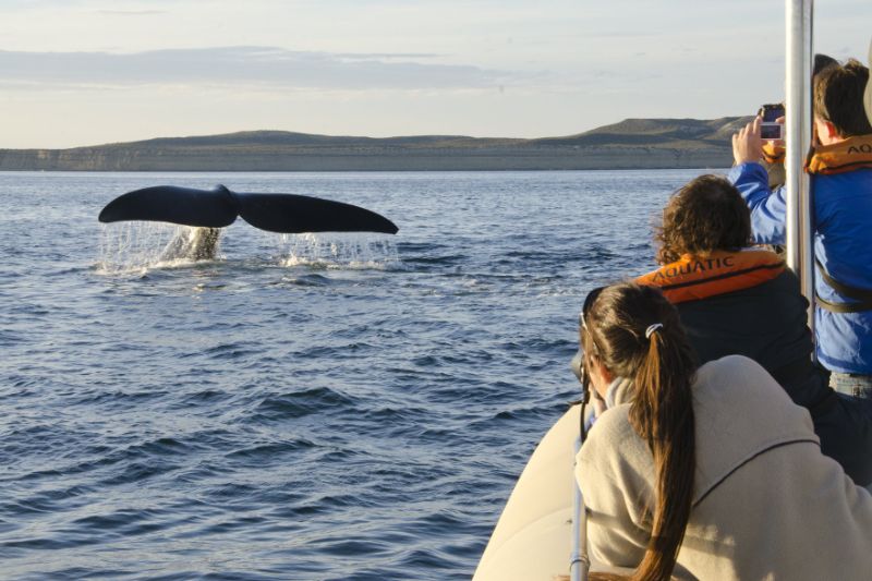 Puerto Madryn